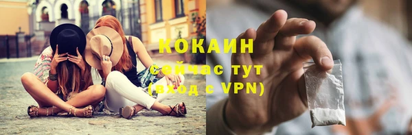 твердый Алексин